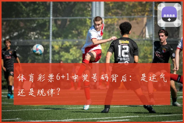 体育彩票6+1中奖号码背后：是运气还是规律？