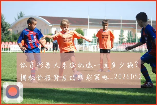 体育彩票大乐透机选一注多少钱？揭秘价格背后的购彩策略_20260521201011