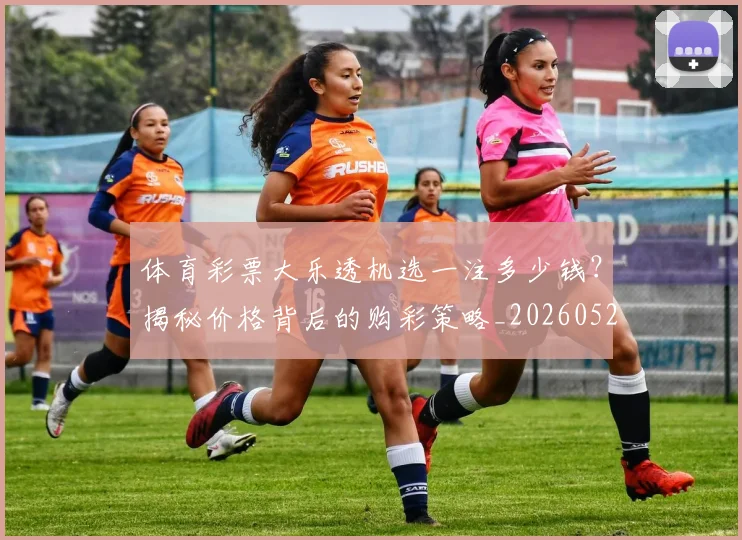 体育彩票大乐透机选一注多少钱？揭秘价格背后的购彩策略_20260521201011