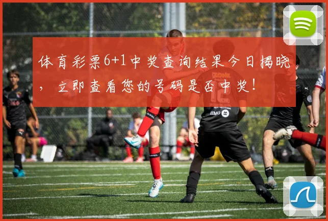 体育彩票6+1中奖查询结果今日揭晓，立即查看您的号码是否中奖！